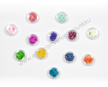 140 PCS /Box X 12 Color (0.5-0.8CM) Pressed Small Flower, Dry Flat Flower, Pressed Dried Flowers For Nail, Tiny Pressed Flower For Nail Art