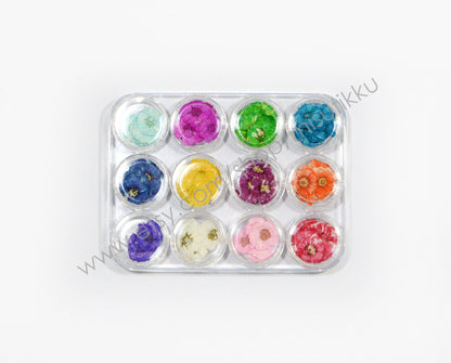 140 PCS /Box X 12 Color (0.5-0.8CM) Pressed Small Flower, Dry Flat Flower, Pressed Dried Flowers For Nail, Tiny Pressed Flower For Nail Art