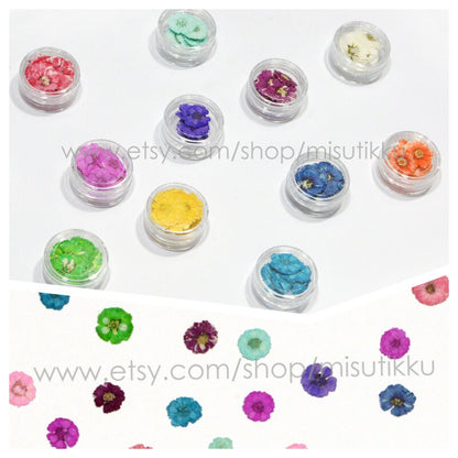 140 PCS /Box X 12 Color (0.5-0.8CM) Pressed Small Flower, Dry Flat Flower, Pressed Dried Flowers For Nail, Tiny Pressed Flower For Nail Art