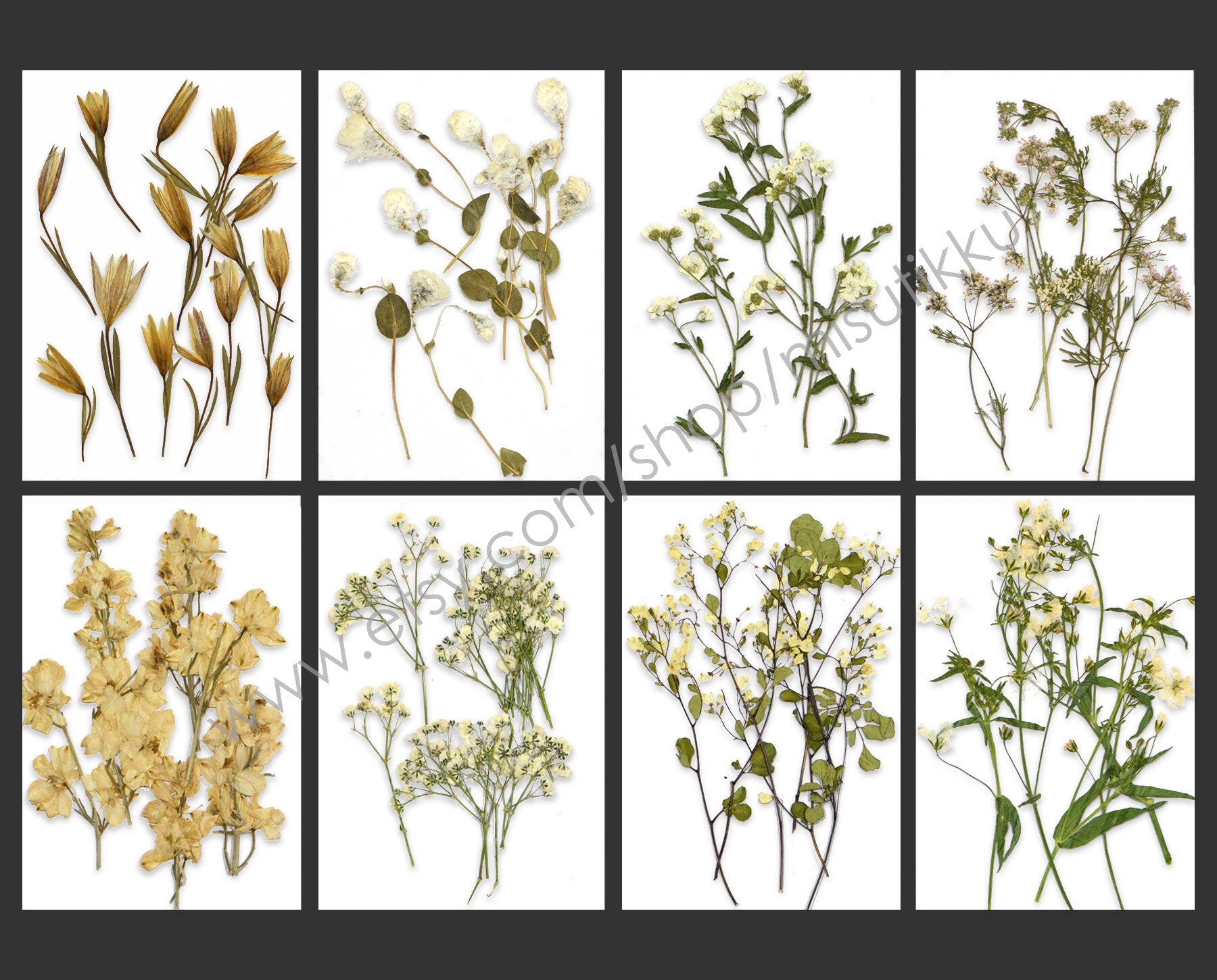 20 PCS Set Pressed Dried Flower with Stems, Ivory White Pressed Flower, Pressed Brown Leaves Flat Flowers, Preserved Real Dry Wild Flowers