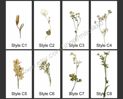 20 PCS Set Pressed Dried Flower with Stems, Ivory White Pressed Flower, Pressed Brown Leaves Flat Flowers, Preserved Real Dry Wild Flowers