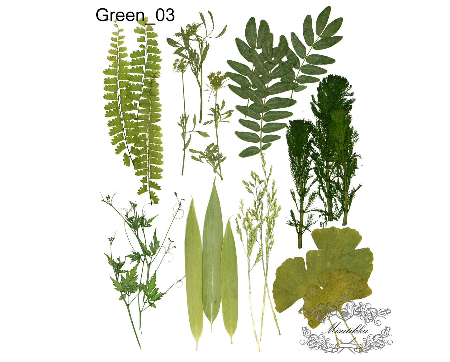 20 PCS Set (6-14CM) rea Pressed Flower Leaf Pressed Fern Dried Leaves Preserved Dry Flat Pressed Flower Petal Leaf Floral Foliage Stem