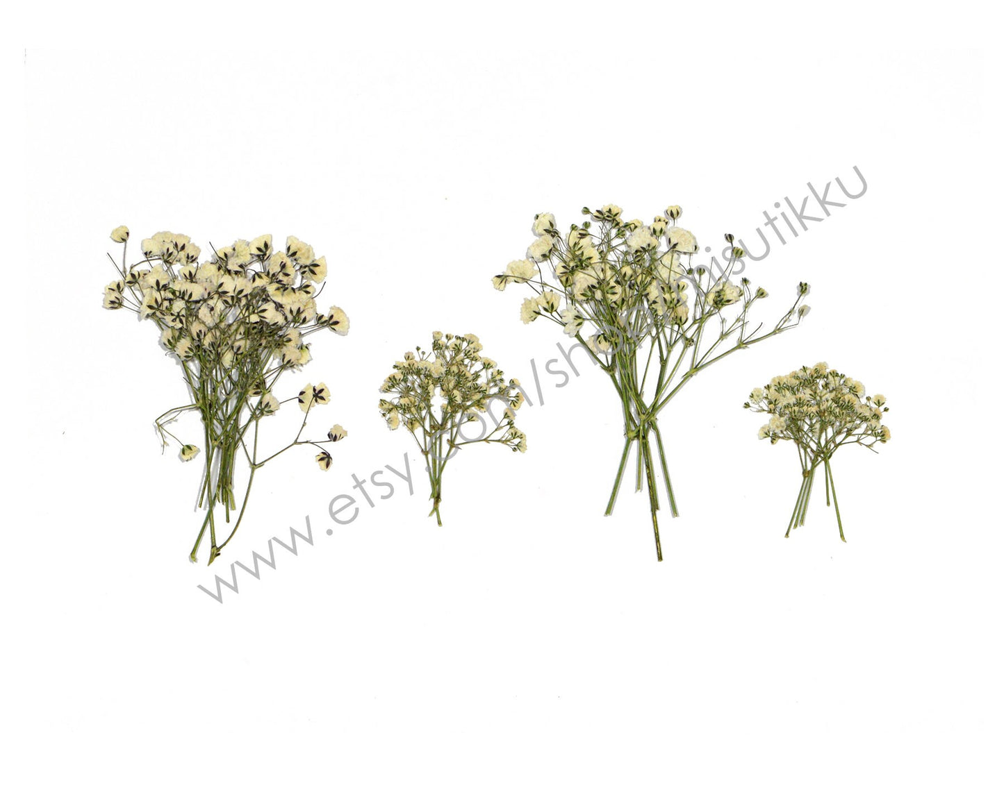 20 PCS Pressed Baby Breath, Ivory White Baby's Breath Flower, Dried Pressed Flowers, Real Dried Pressed Baby’s Breath for Wedding Invitation