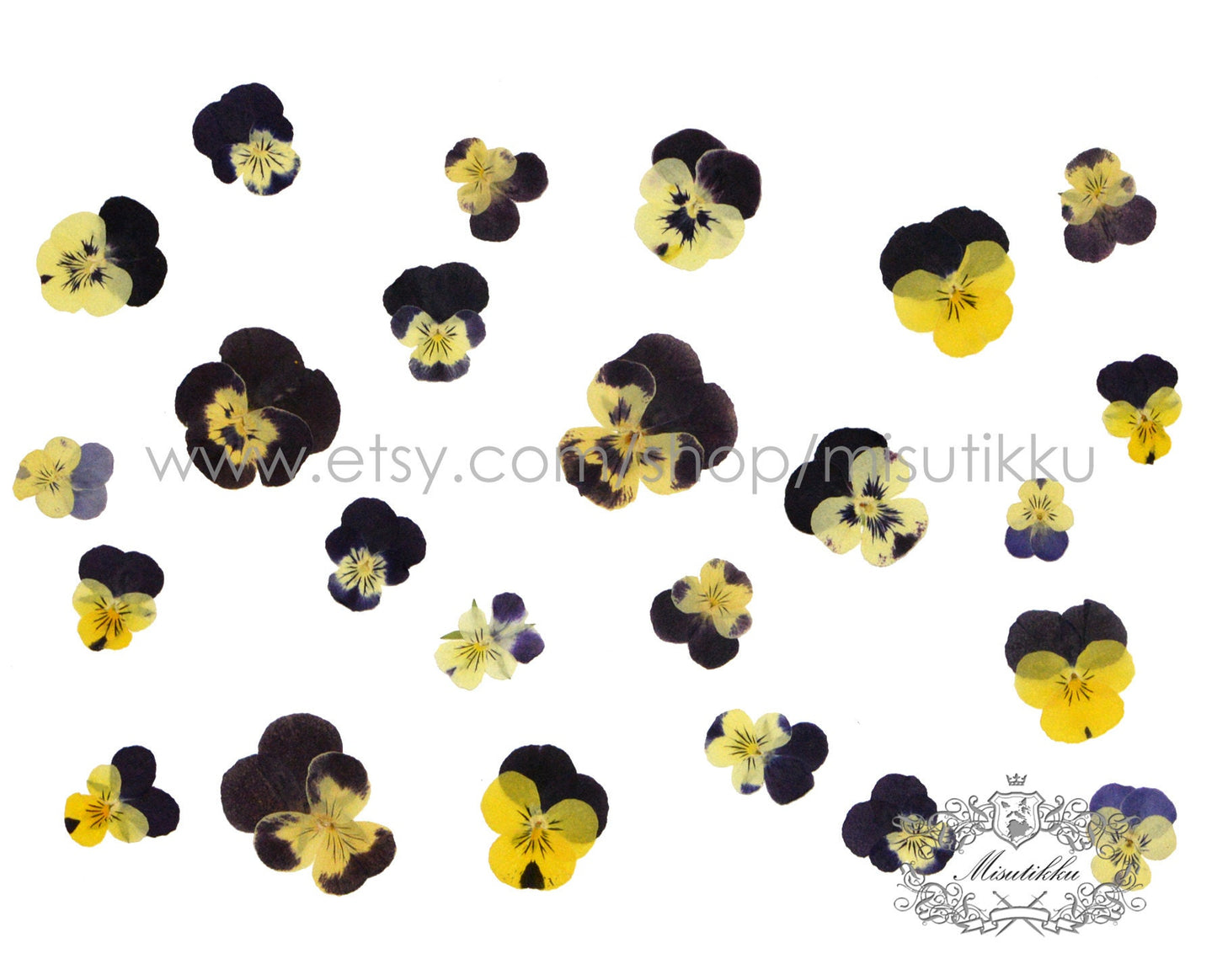 20 PCS/PACK (1.5-5CM) Dried Pressed Viola Pansy Flowers real Mixed Pansy Viola Flower Dry Yellow Pansies Flat Pressed Viola Flower Bulk