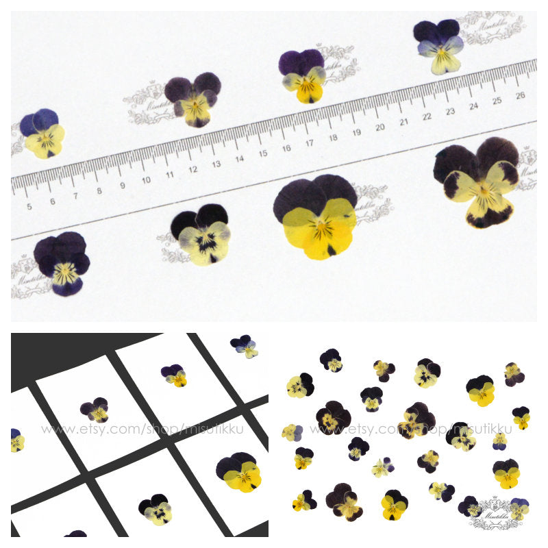 20 PCS Set (1.5-5CM) Dried Pansy Pressed Flower, Real Pressed Dried Pansies Flower, Pressed Flat Viola Pansies, Preserved Flat Viola Flowers