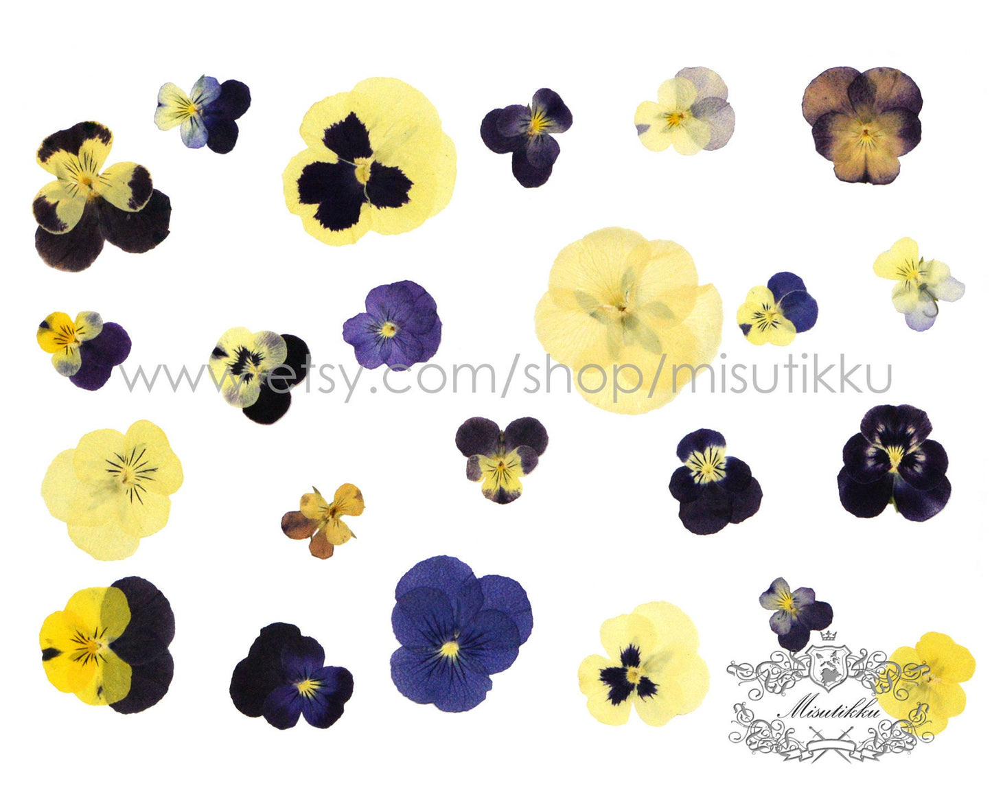 20 PCS Set (2-5CM) Dried Pressed Pansy Flowers, real Mixed dried Pansy Pressed Viola Flower, Dried Pansies, Flat Dried Viola Flower Bulk