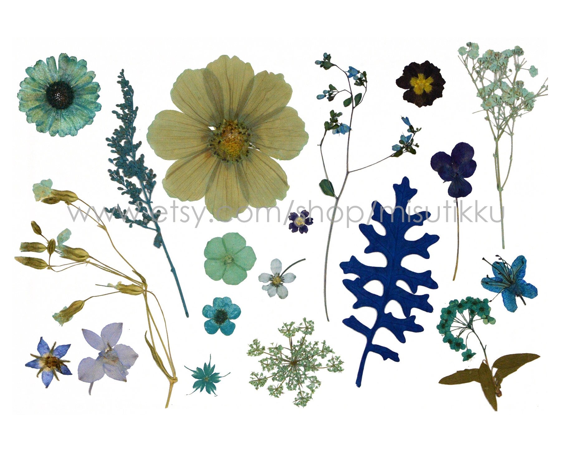 100 PCS Set Mixed Pressed Blue Flowers, Dried Blue Flower Stems, Dried Pressed Flower, Real Flat Blue Flowers, Assorted Preserved Flowers