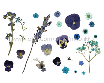 100 PCS Set Mixed Pressed Blue Flowers, Dried Blue Flower Stems, Dried Pressed Flower, Real Flat Blue Flowers, Assorted Preserved Flowers