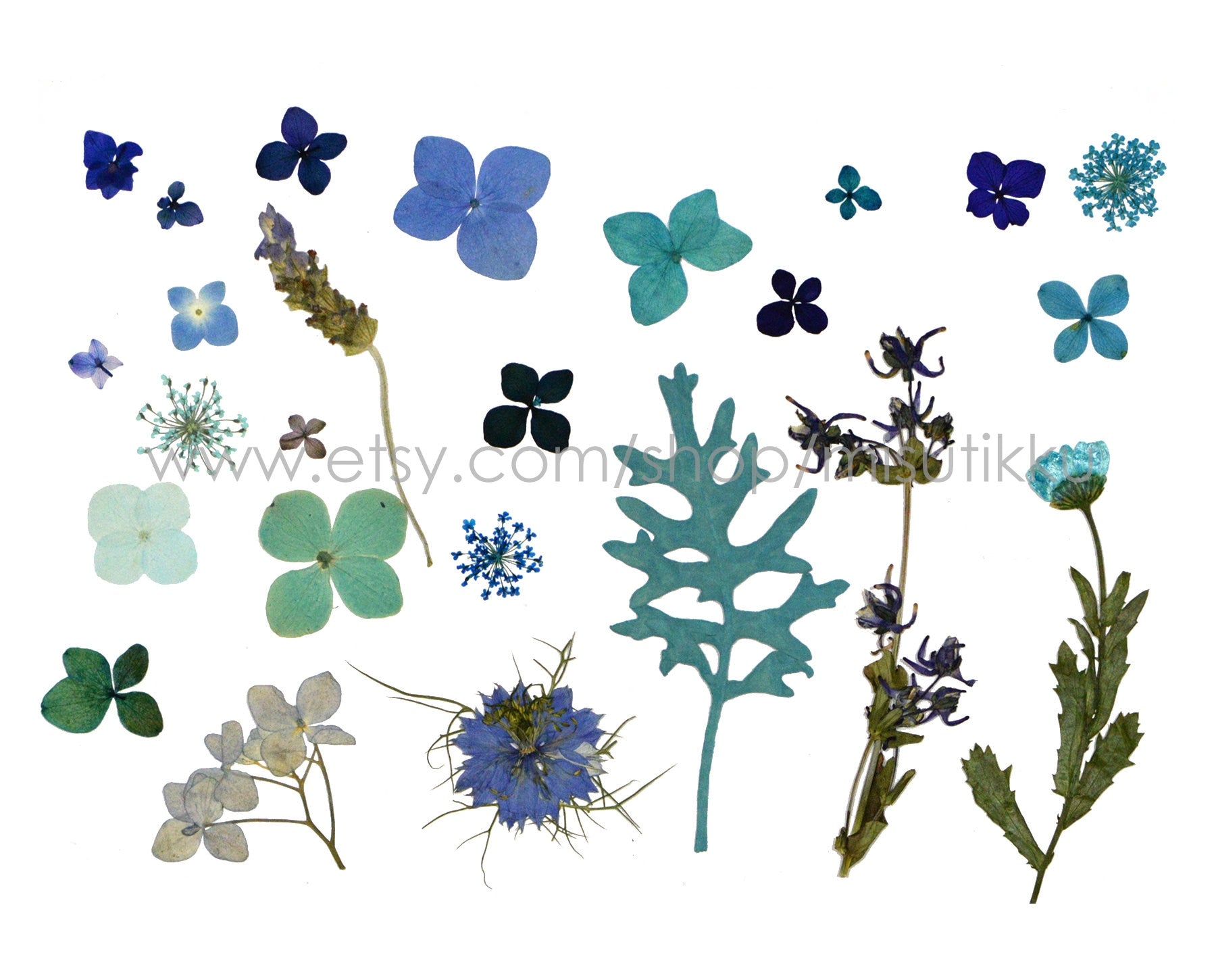 100 PCS Set Mixed Pressed Blue Flowers, Dried Blue Flower Stems, Dried Pressed Flower, Real Flat Blue Flowers, Assorted Preserved Flowers