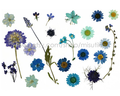 100 PCS Set Mixed Pressed Blue Flowers, Dried Blue Flower Stems, Dried Pressed Flower, Real Flat Blue Flowers, Assorted Preserved Flowers