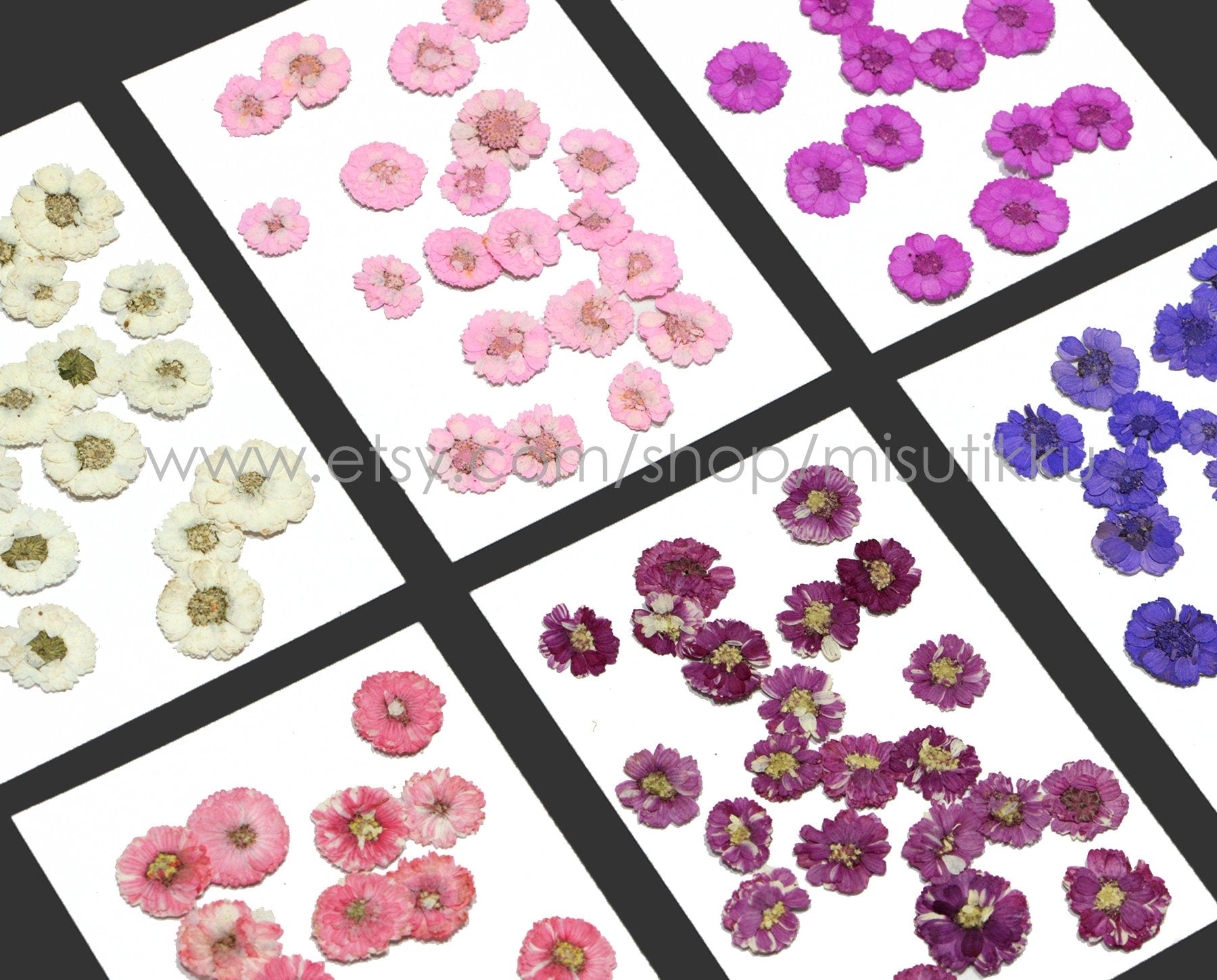 20 PCS Set (1-2CM) Dried Pressed Flowers, Mixed Flat Pressed Flowers Bulk, Pressed Dried Small Flowers , Dry Real Tiny Flower For Nail Art