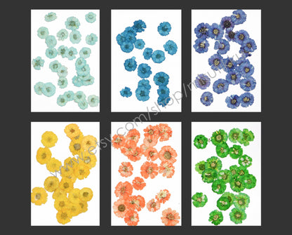 20 PCS Set (1-2CM) Dried Pressed Flowers, Mixed Flat Pressed Flowers Bulk, Pressed Dried Small Flowers , Dry Real Tiny Flower For Nail Art