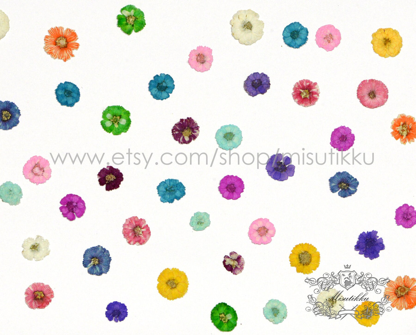 20 PCS Set (1-2CM) Dried Pressed Flowers, Mixed Flat Pressed Flowers Bulk, Pressed Dried Small Flowers , Dry Real Tiny Flower For Nail Art