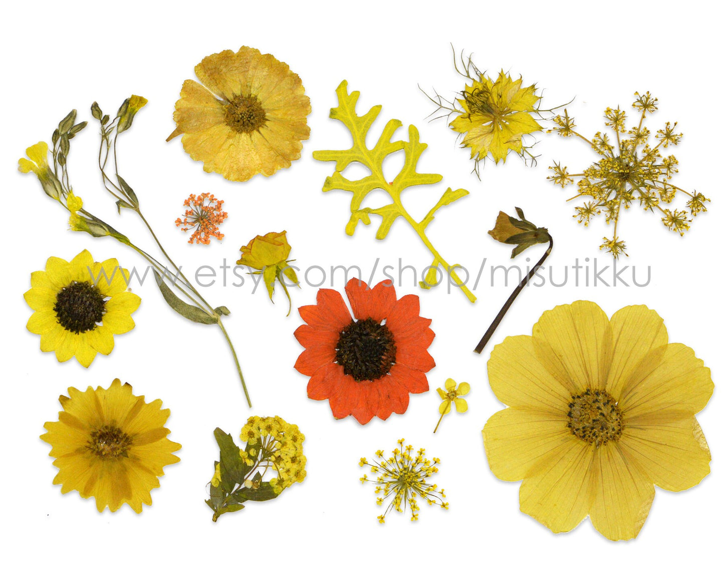 20 PCS Set Dried Pressed Yellow Flower Bulk, Real Pressed Orange Flower Stems, Flat Pressed Flower,Pressed Dried Flower Variety Pack