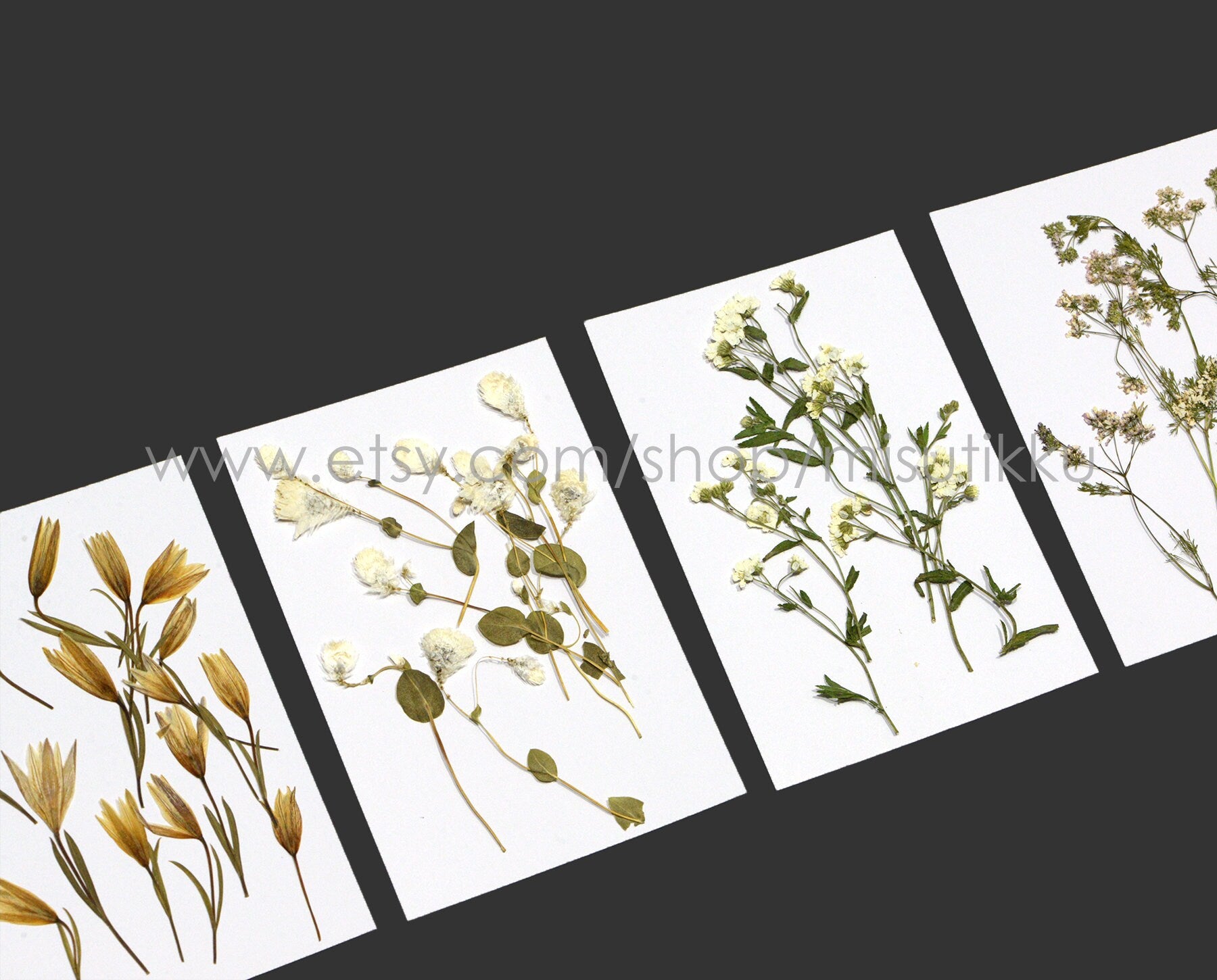 20 PCS Set Pressed Dried Flower with Stems, Ivory White Pressed Flower, Pressed Brown Leaves Flat Flowers, Preserved Real Dry Wild Flowers