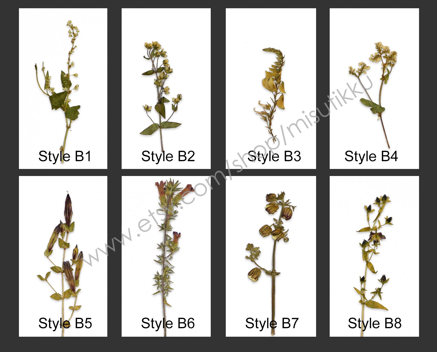 20 PCS Set Pressed Flower with Stems, Ivory Pressed Flower Dried, Pressed White Flat Dry Flowers, Preserved Real Dried Wild Flowers Foliage