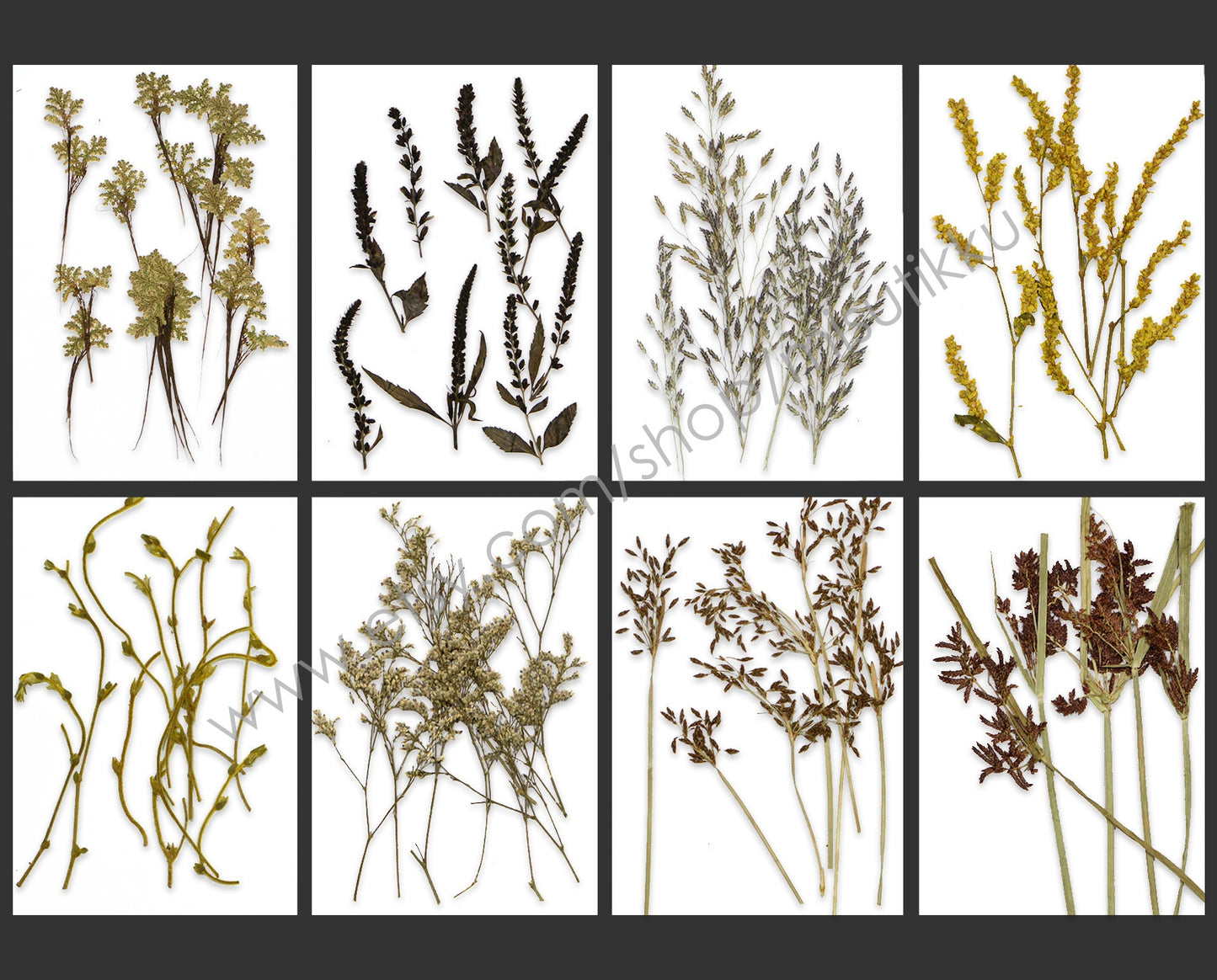 20 PCS/Pack REAL Pressed Leaves Grass Brown Pressed Dried Flowers Stems Leaf Flat pressed flower green Fern foliage Floral Dry Leaf Greeny