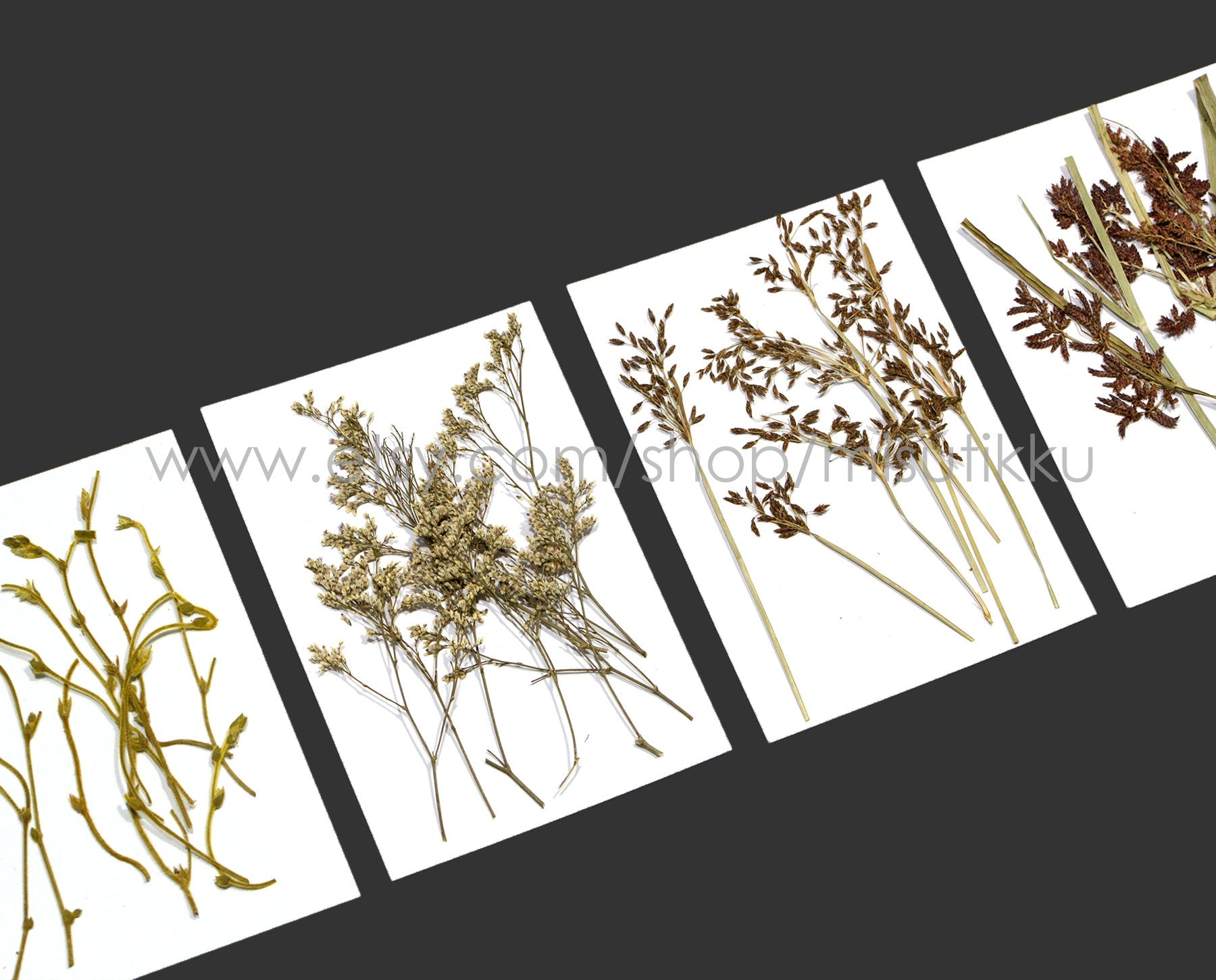 20 PCS/Pack REAL Pressed Leaves Grass Brown Pressed Dried Flowers Stems Leaf Flat pressed flower green Fern foliage Floral Dry Leaf Greeny