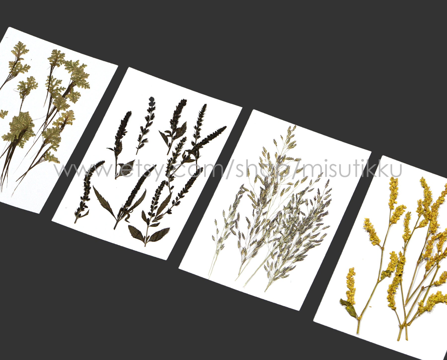 20 PCS/Pack REAL Pressed Leaves Grass Brown Pressed Dried Flowers Stems Leaf Flat pressed flower green Fern foliage Floral Dry Leaf Greeny