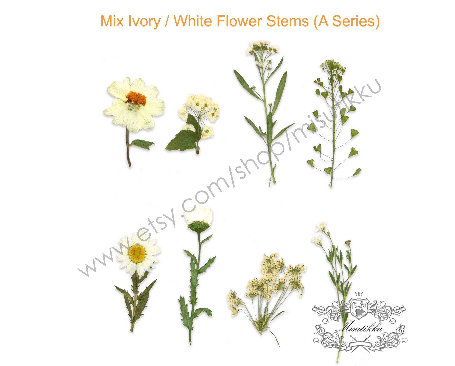 20 PCS Set Dried Pressed Flower Stems, Brown Pressed Flower, White Pressed wildflowers, Preserved Dried Flowers, Real Dry Flat Flowers