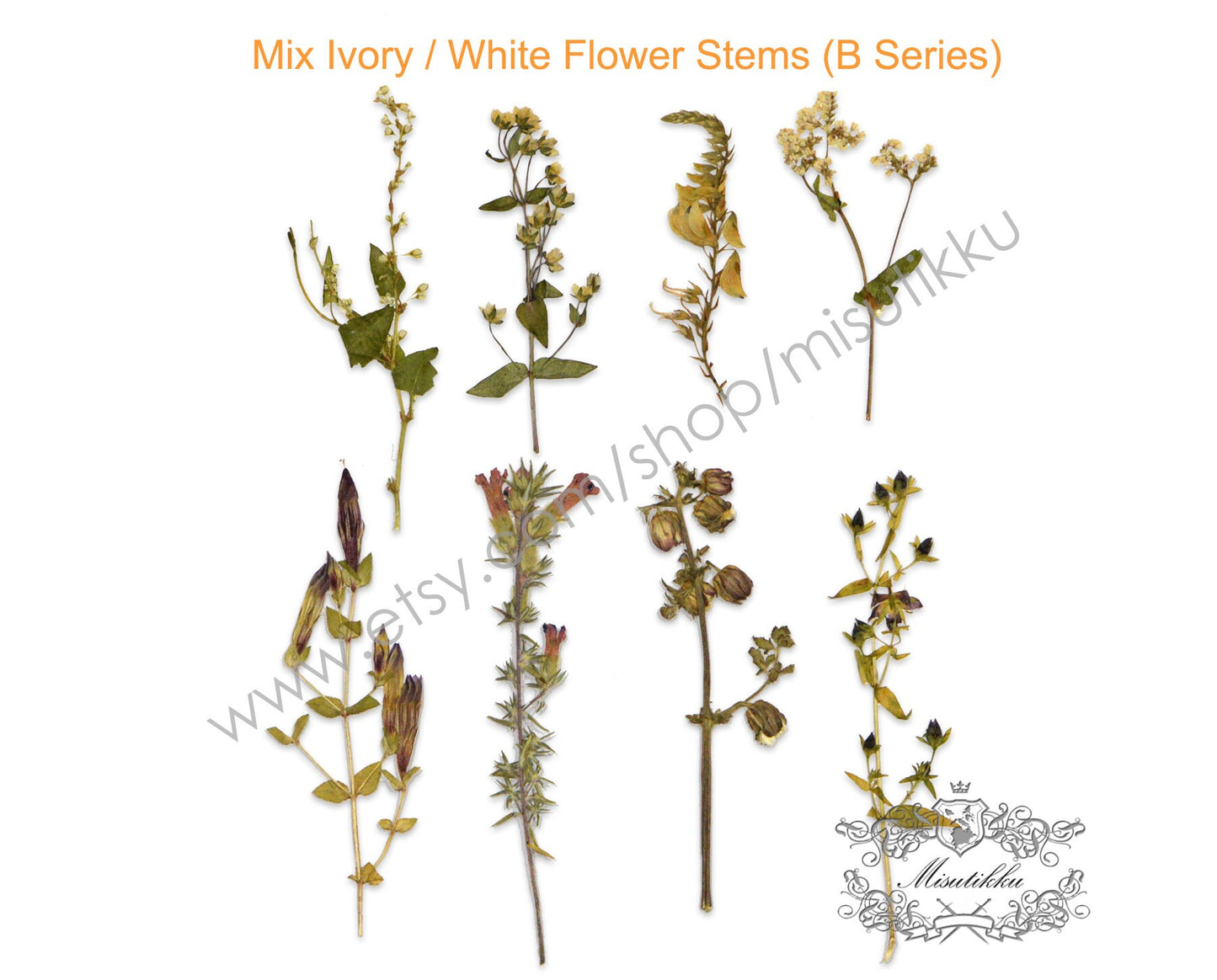 20 PCS Pack Pressed Flower Mixed, Pressed Flower Dried Stems, Real Pressed Wild Flower, Dried White Flowers, Preserved Dry flat flowers