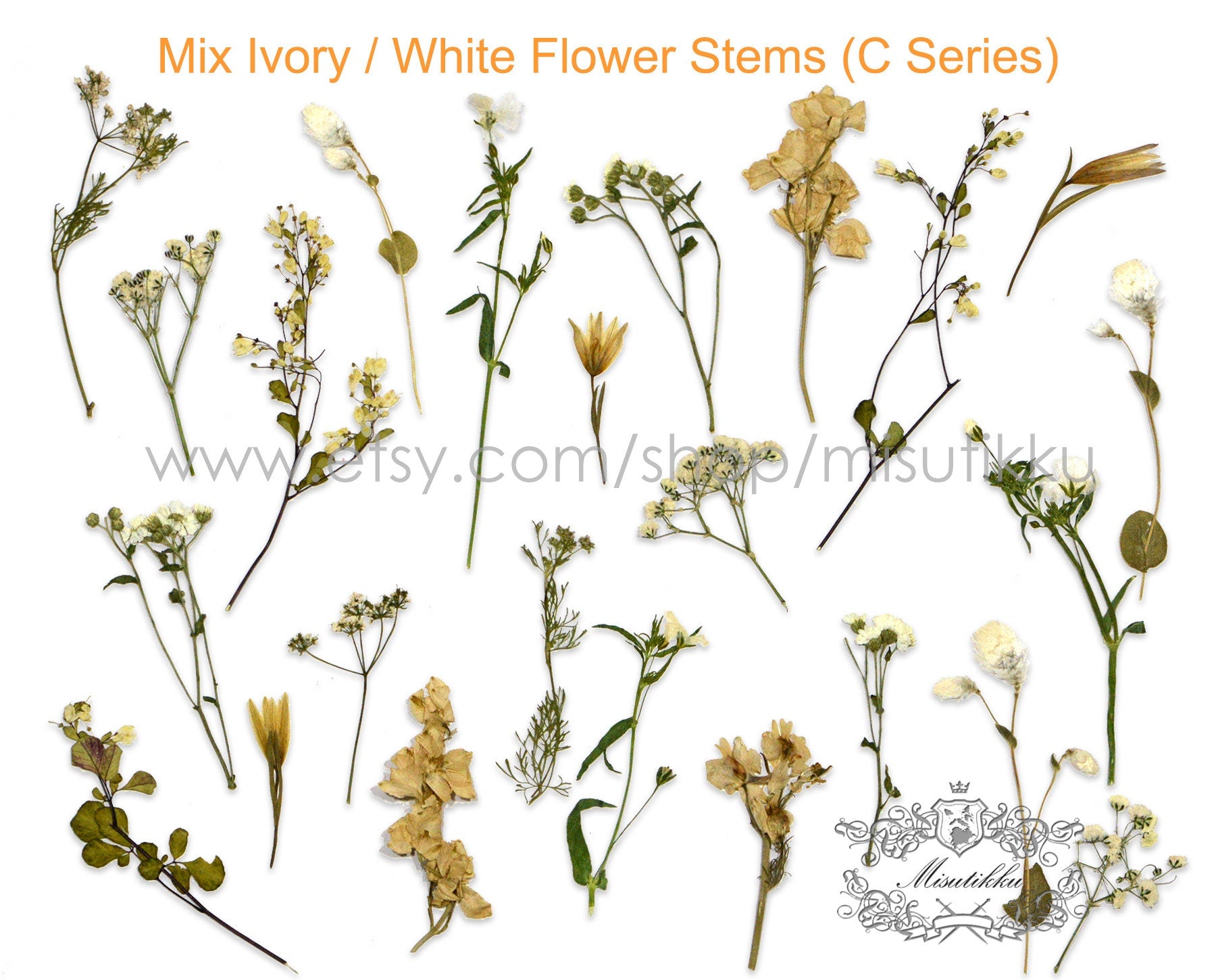 20 PCS Pack Mixed Pressed Flower , Dried Pressed Flower Stems, Pressed Flower Wild, Pressed White Flowers, Dry pressed flat flowers Bulk