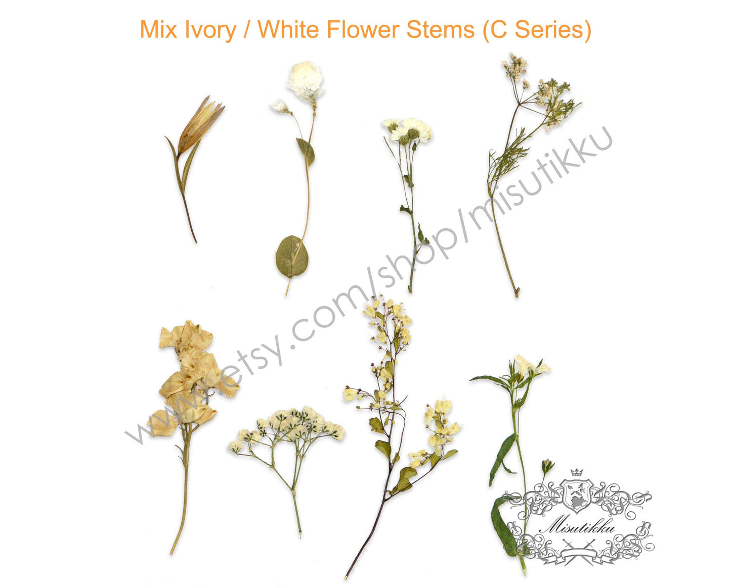 20 PCS Pack Mixed Pressed Flower , Dried Pressed Flower Stems, Pressed Flower Wild, Pressed White Flowers, Dry pressed flat flowers Bulk