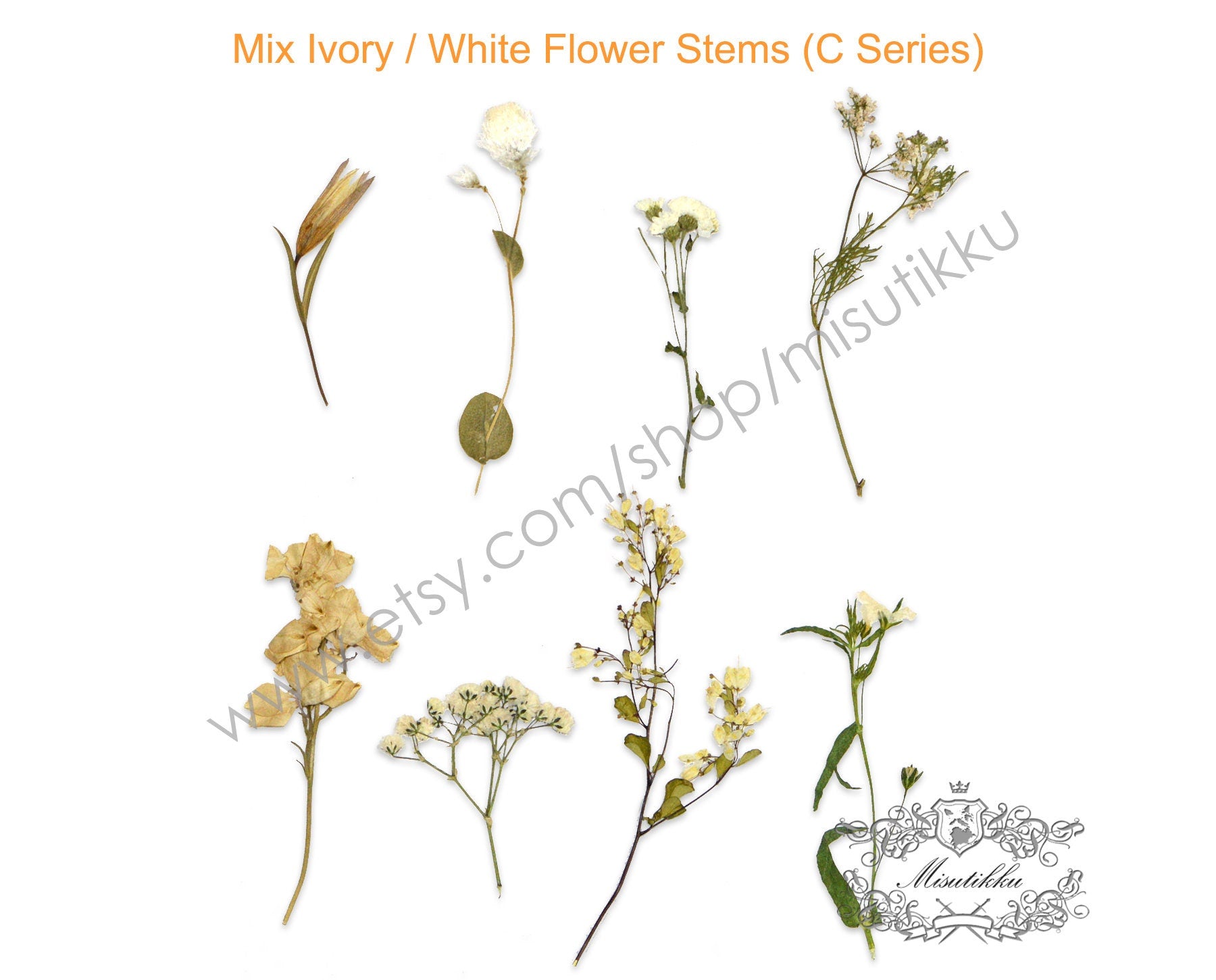 20 PCS Pack Mixed Pressed Flower , Dried Pressed Flower Stems, Pressed Flower Wild, Pressed White Flowers, Dry pressed flat flowers Bulk