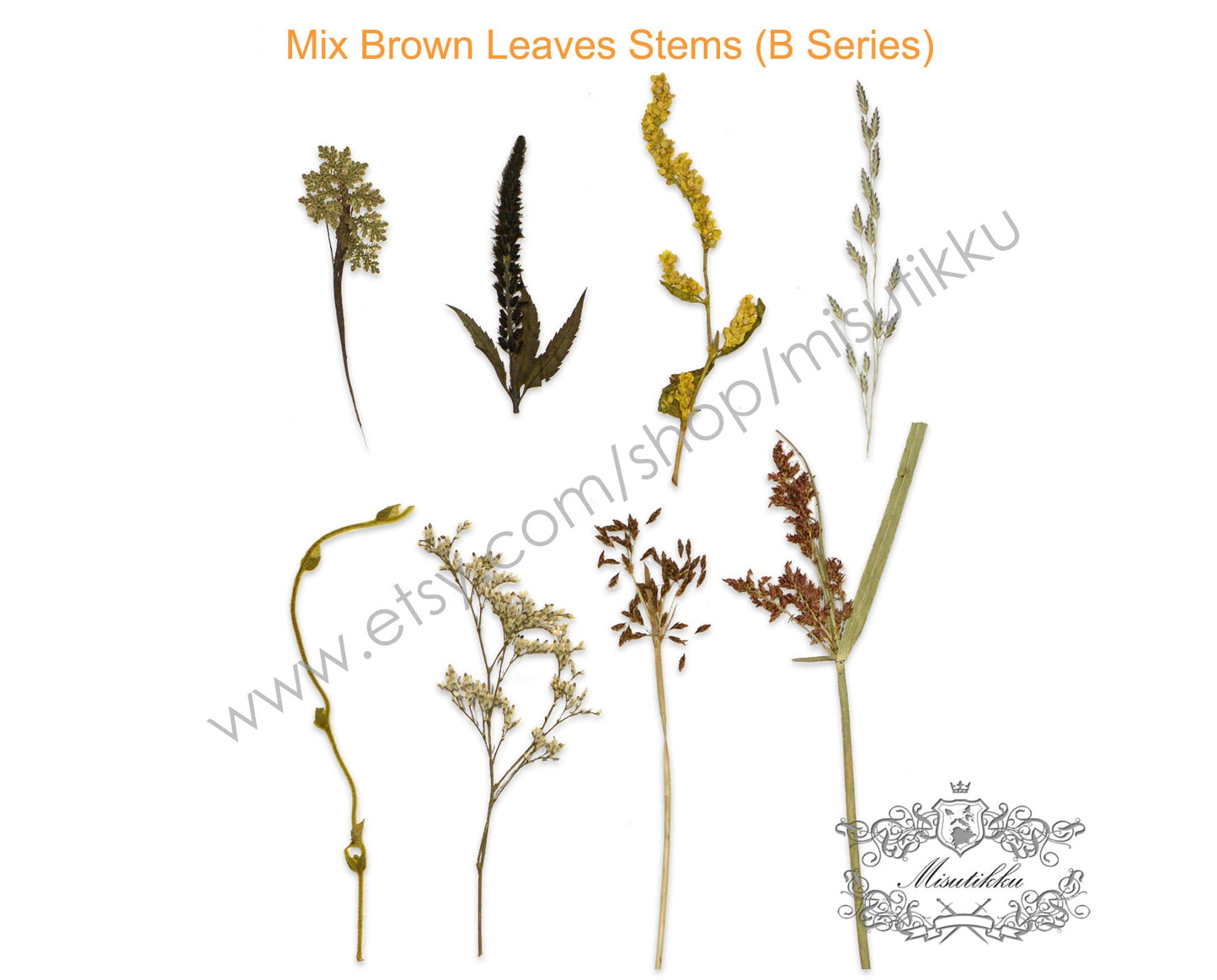 20 PCS/Pack REAL Pressed Leaves Grass Brown Pressed Dried Flowers Stems Leaf Flat pressed flower green Fern foliage Floral Dry Leaf Greeny