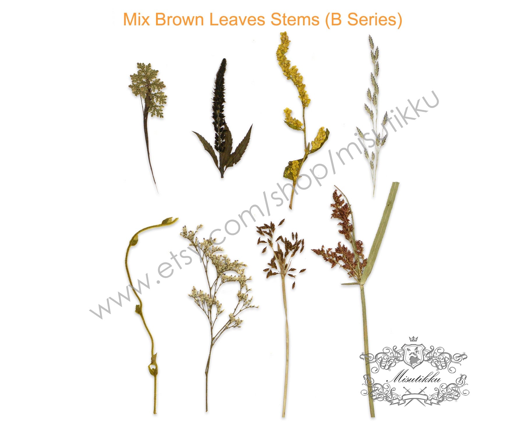20 PCS/Pack REAL Pressed Leaves Grass Brown Pressed Dried Flowers Stems Leaf Flat pressed flower green Fern foliage Floral Dry Leaf Greeny