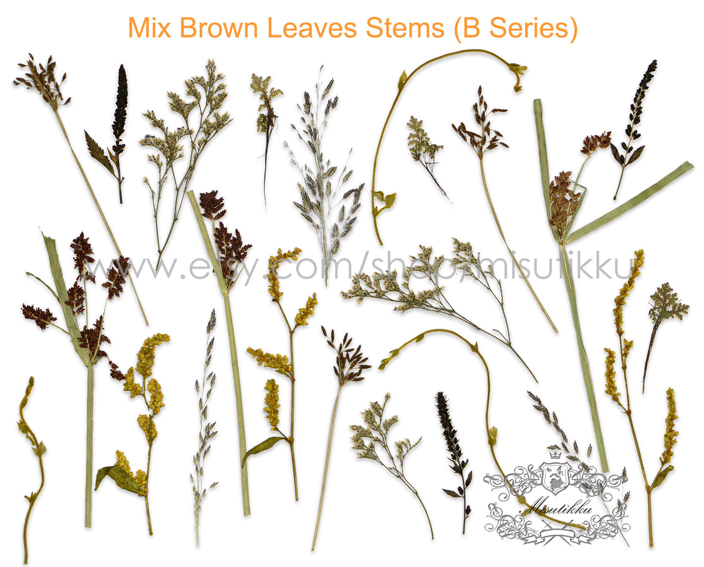 20 PCS/Pack REAL Pressed Leaves Grass Brown Pressed Dried Flowers Stems Leaf Flat pressed flower green Fern foliage Floral Dry Leaf Greeny