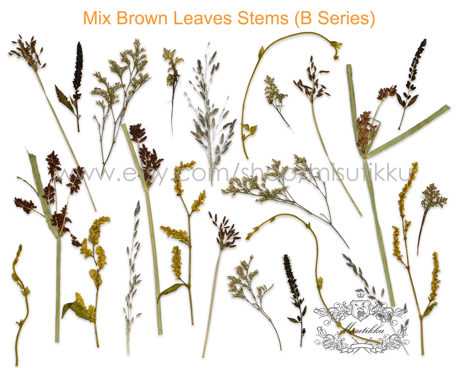 20 PCS/Pack REAL Pressed Leaves Grass Brown Pressed Dried Flowers Stems Leaf Flat pressed flower green Fern foliage Floral Dry Leaf Greeny