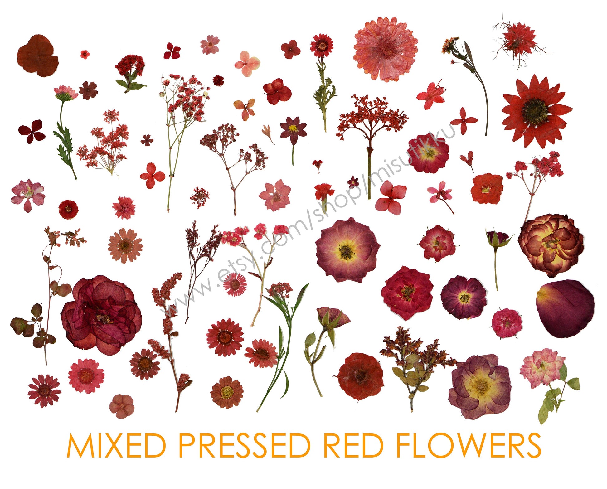 100 PCS Set Pressed Red Flowers, Mixed Dried Pressed Flowers Stems, Real Pressed Dried Flower Variety Pack. Pressed Flat Red Real Flowers