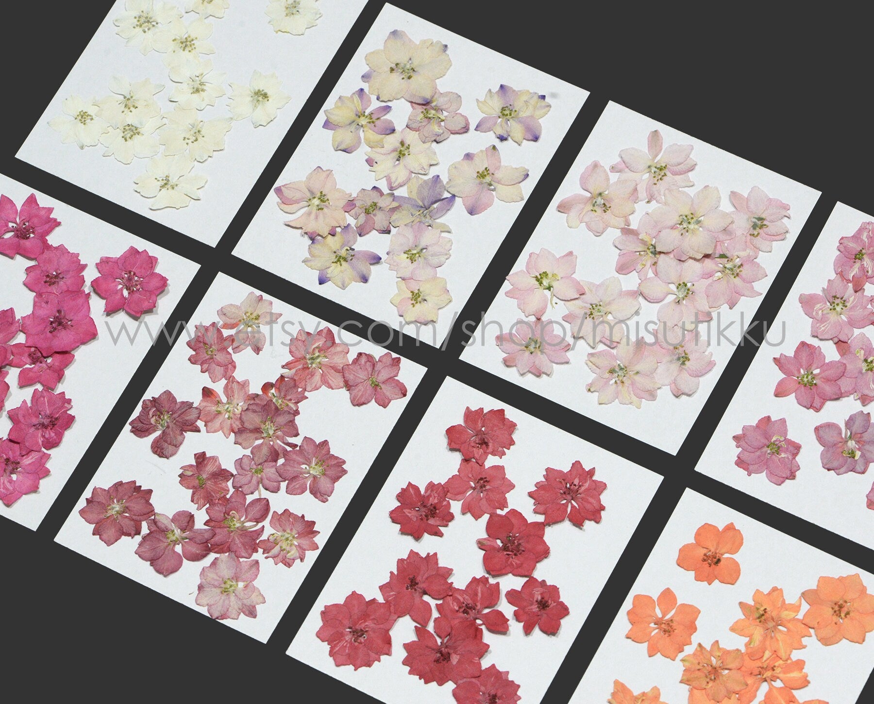 20 PCS Pack (2-5-3.5CM) Pressed Dried Flowers, Real Dried Flowers, Pressed Flower Mixed, Pressed Flat Dried Flowers, Preserved Real Flowers