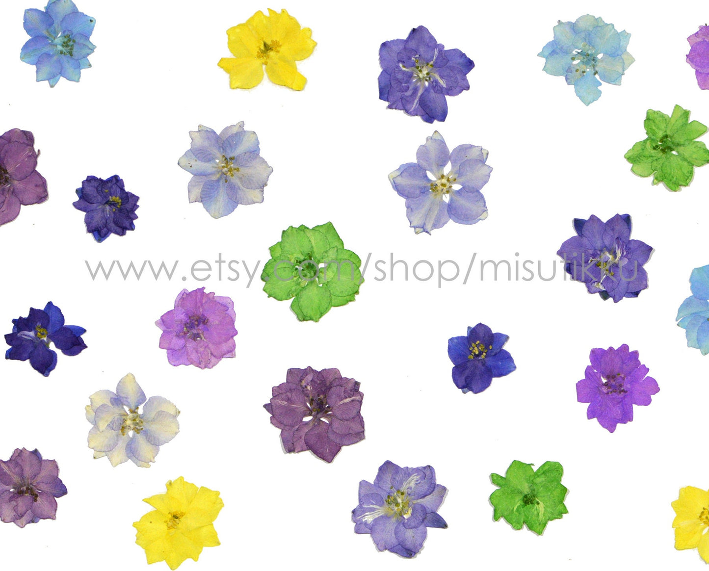 100 PCS Set (2-3.5CM) Dried Larkspur Pressed Flowers Mixed Dry Larkspur Flowers Preserved Real Pressed Larkspur Flowers Flat Larkspur Flower