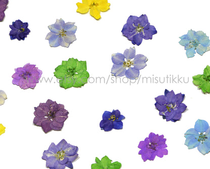 100 PCS Set (2-3.5CM) Dried Larkspur Pressed Flowers Mixed Dry Larkspur Flowers Preserved Real Pressed Larkspur Flowers Flat Larkspur Flower