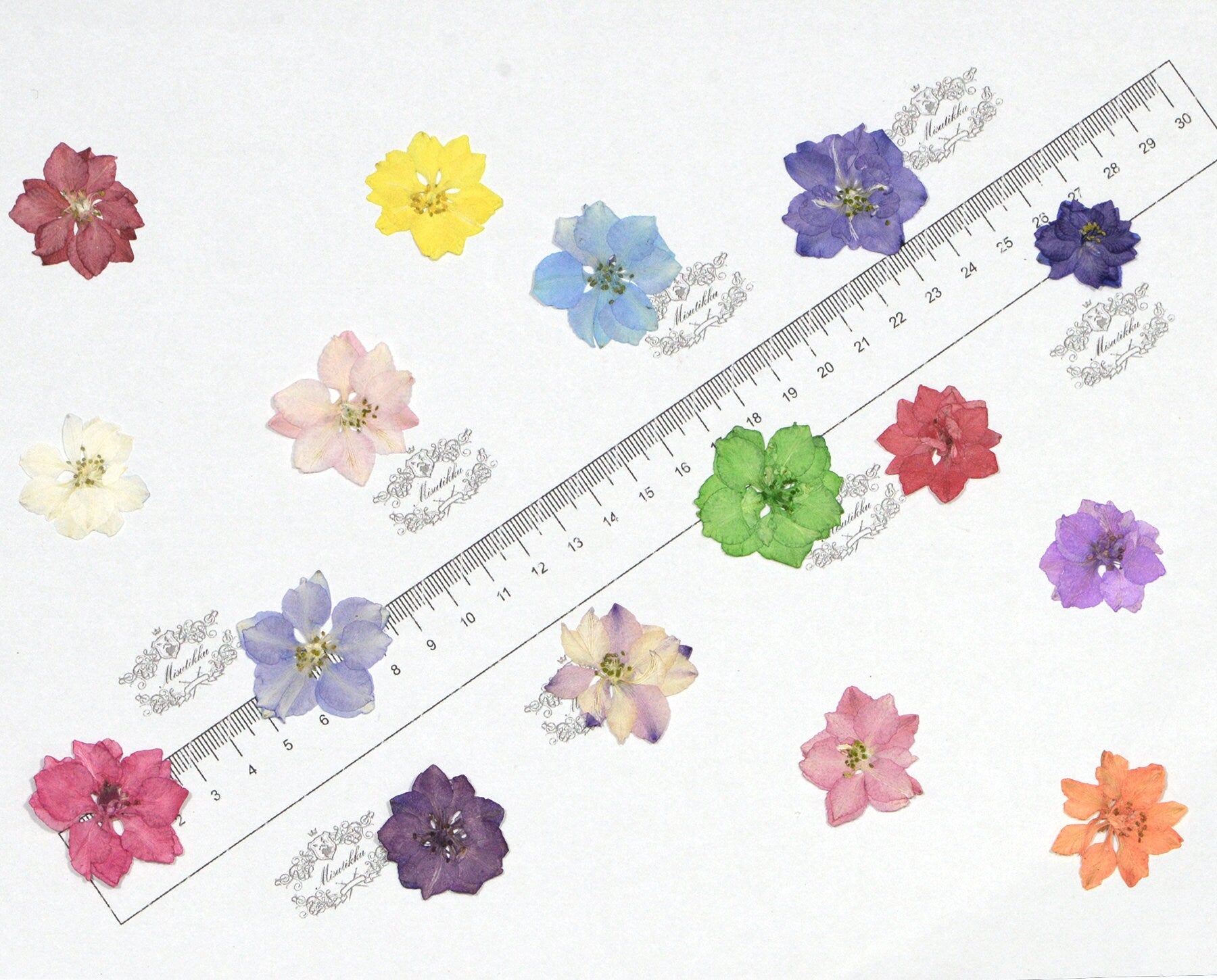 20 PCS/Set (2-3.5CM) Dried Pressed Flowers Larkspur Real Flat Larkspur Dried Flowers Preservation Larkspur Mixed Pressed Wild Flowers Bulk