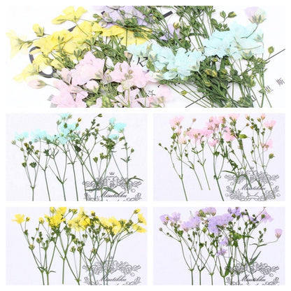 20 PCS Pack (6-9CM) Pressed Flower Stems, Dried Pressed Pink Flowers, Real Blue Flower Stems, Yellow Flat Flowers, Purple Dry Flower Stems