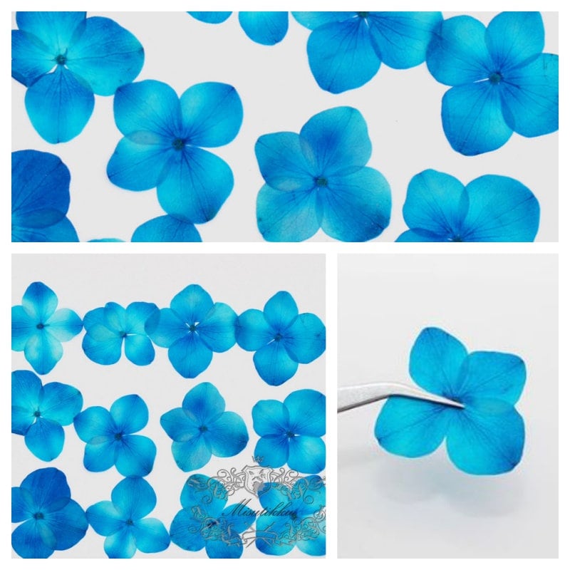 12 PCS Set (2-3CM) Pressed Flowers, Blue Hydrangea Dried Flower, Dried Real Flowers, Pressed flat Flowers, Blue Pressed Dried Flowers