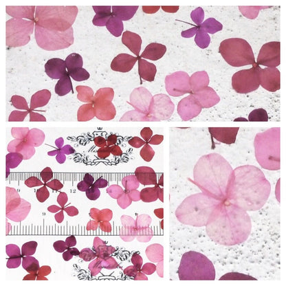 20 PCS/Set (1-3.5CM) Pressed Flower Mixed Assorted Pink Transparent Hydrangea Dried Real Flowers Mix flat Preserved Dry Pink Flowers 