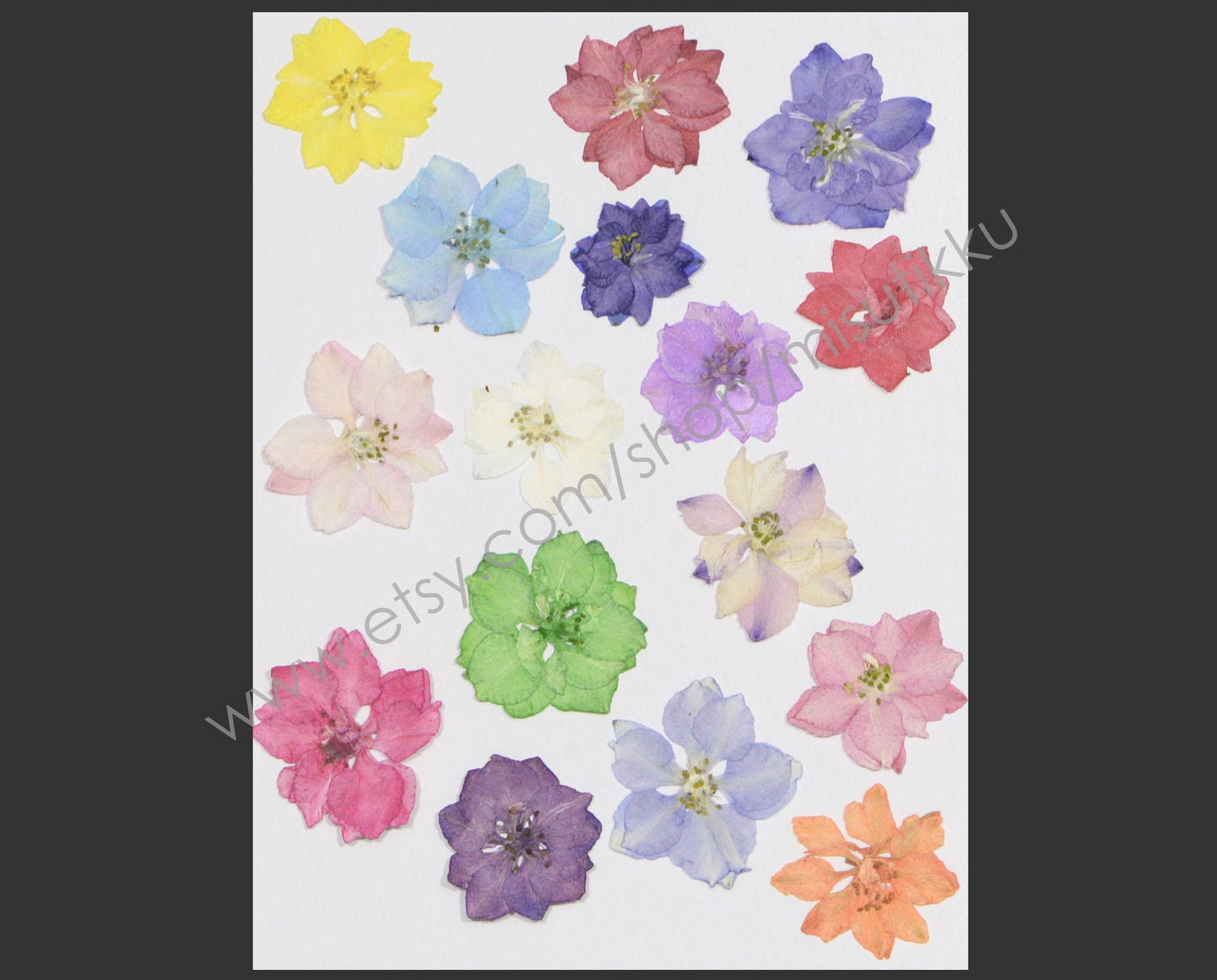 100 PCS Set (2-3.5CM) Pressed Dried Larkspur Flowers Mixed Real Larkspur Flowers Assorted Preserved Dry Pressed Larkspur Flowers Bulk