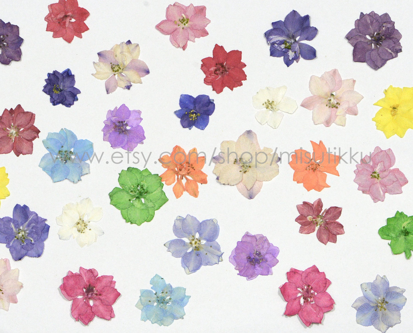 100 PCS Set (2-3.5CM) Pressed Dried Larkspur Flowers Mixed Real Larkspur Flowers Assorted Preserved Dry Pressed Larkspur Flowers Bulk