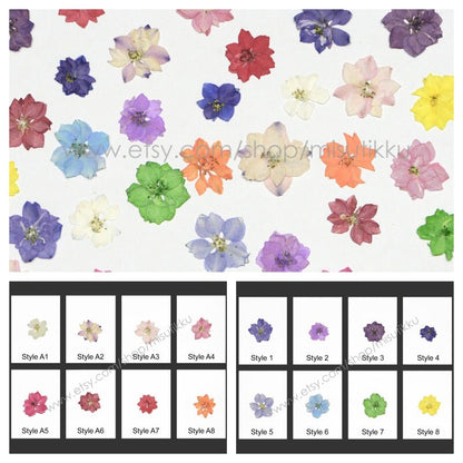 20 PCS/Set (2-3.5CM) Dried Pressed Flowers Larkspur Real Flat Larkspur Dried Flowers Preservation Larkspur Mixed Pressed Wild Flowers Bulk