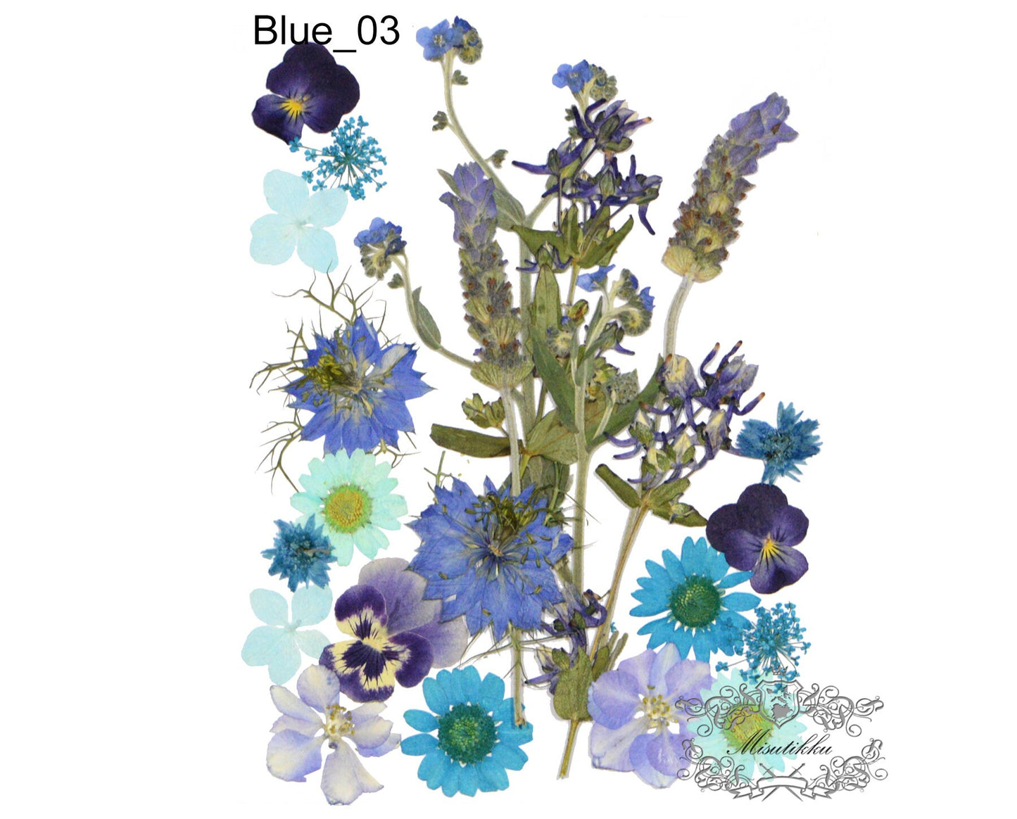 20 PC Mixed Blue Series Pressed Flowers Mix Dry Blue flower Assorted Pack Leaf Preserved wild Flowers Stems Floral Real Mixed Dried Leaves