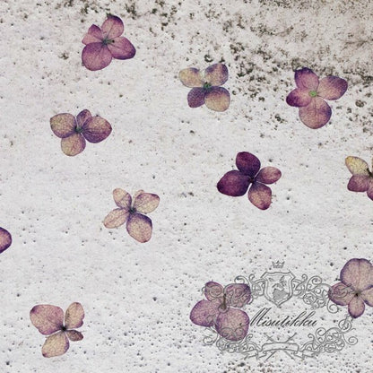 12 PCS Set (1-2CM) Pressed Tiny Flowers, Dark Purple Hydrangea Flower, Dried Real Pressed flat Flowers, Preserved Small Hydrangea Flowers