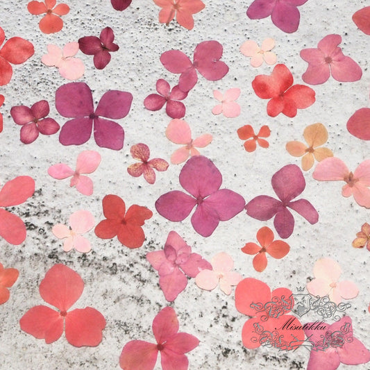 20 PCS/Set (1-3CM) Pressed Hydrangea Flowers Pressed Dry Real Flower Mix Pink and Red series hydrangea Mixed Assorted Hydrangea flowers 