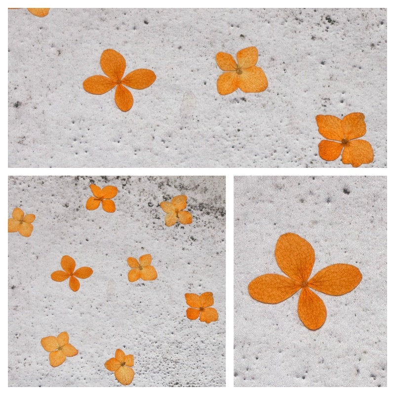 12 PCS Set (2.5-3.5CM) Pressed Orange Hydrangea Flower, Dried Hydrangea, Small Real Flower, Pressed flat Flowers, Preserved Dried flowers