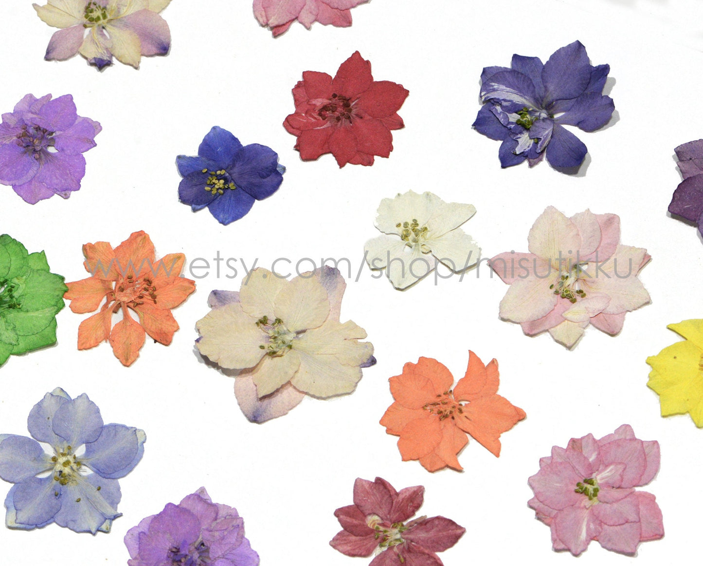 100 PCS Set (2-3.5CM) Pressed Dried Larkspur Flowers Mixed Real Larkspur Flowers Assorted Preserved Dry Pressed Larkspur Flowers Bulk