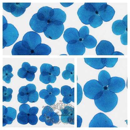 20 PCS/Set (2-3CM) Pressed Dried Flower, Pressed Navy Blue Hydrangea Flowers, Dried Hydrangea Blue Flower, Pressed Hydrangea Dried Flower