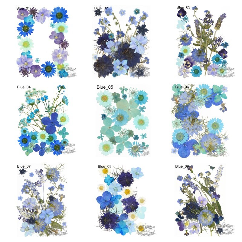 20 PC Mixed Blue Series Pressed Flowers Mix Dry Blue flower Assorted Pack Leaf Preserved wild Flowers Stems Floral Real Mixed Dried Leaves